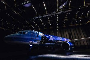 (c) Brussels Airlines/Jesse Willems