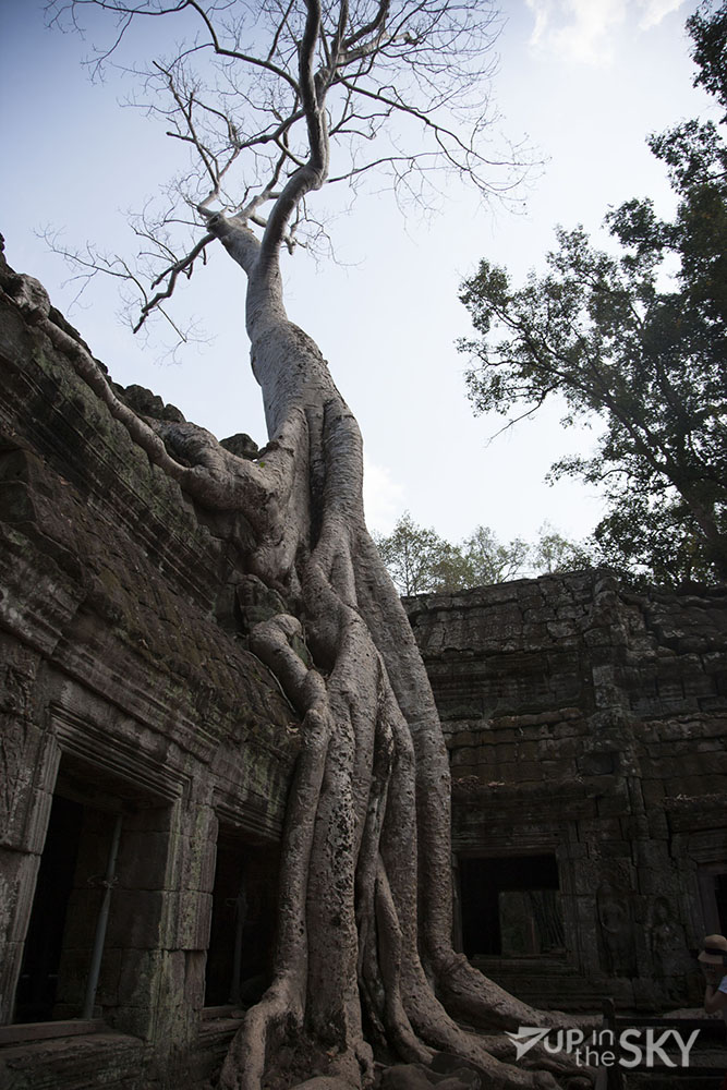 Ta Prohm tempel