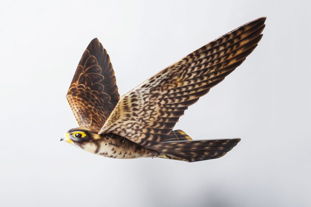 © Clear Flight Solutions