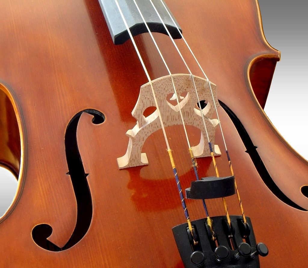 Cello