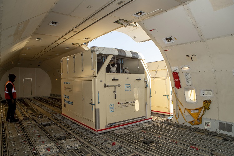Emirates voert grootste commerciële ‘paardenvlucht’ uit