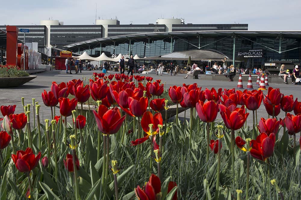 Aantal passagiers en vliegbewegingen Schiphol nagenoeg stabiel