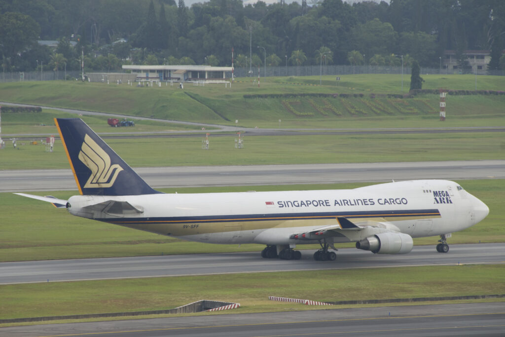 Twee ongewenste bezoekers op platform Changi Airport