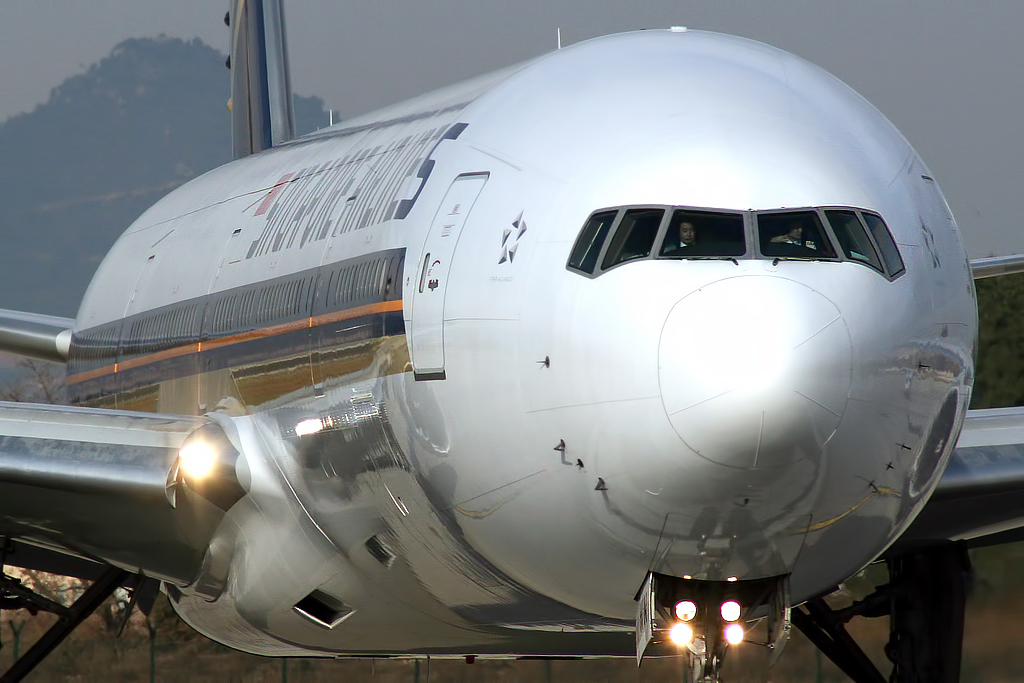 ‘Gebeten hond’ op Singapore Airlines-vlucht